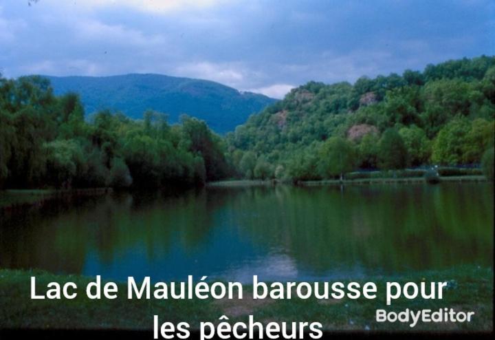 Petit Village Authentique Mauléon-Barousse 外观 照片